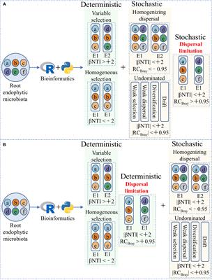 Attribution of dispersal limitation can better explain the assembly patterns of plant microbiota